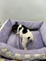 processed/16dbfd18-c7ab-4292-a994-64ff92b9ab60/listing/a2acee57-430e-4fca-aebe-e4ecb32922a5/e4fe8921-fa07-4bb5-8063-7e37a507aaaf