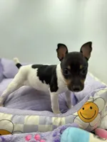 processed/16dbfd18-c7ab-4292-a994-64ff92b9ab60/listing/a2acee57-430e-4fca-aebe-e4ecb32922a5/ec5b7ac4-8620-43ac-b919-dc6deea63d15