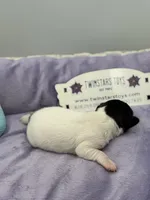 processed/16dbfd18-c7ab-4292-a994-64ff92b9ab60/listing/bae6b4d4-0e3a-4d65-9c2c-95859524efa1/3ed2c831-5cc3-4107-99cf-0d7e36977092