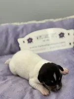 processed/16dbfd18-c7ab-4292-a994-64ff92b9ab60/listing/bae6b4d4-0e3a-4d65-9c2c-95859524efa1/75513098-bc78-464a-bd91-3f4322f367cd