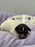 processed/16dbfd18-c7ab-4292-a994-64ff92b9ab60/listing/bae6b4d4-0e3a-4d65-9c2c-95859524efa1/90dba338-3a41-4c6f-a453-41a4d2d1988c