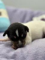 processed/16dbfd18-c7ab-4292-a994-64ff92b9ab60/listing/bae6b4d4-0e3a-4d65-9c2c-95859524efa1/cbb65378-d3b9-4741-a601-bd22095ee966