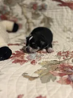 processed/16dbfd18-c7ab-4292-a994-64ff92b9ab60/listing/be437fa6-329c-4605-924f-78a671eec297/44ddcd80-e15e-4ff6-ac34-0416e7a54b12