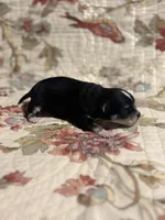 processed/16dbfd18-c7ab-4292-a994-64ff92b9ab60/listing/be437fa6-329c-4605-924f-78a671eec297/aca89043-6736-4920-8a75-e09fc5fd2c93