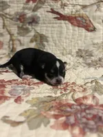 processed/16dbfd18-c7ab-4292-a994-64ff92b9ab60/listing/be437fa6-329c-4605-924f-78a671eec297/b8086e84-f400-40b8-8891-8464ce84f708