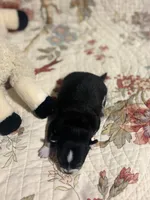 processed/16dbfd18-c7ab-4292-a994-64ff92b9ab60/listing/be437fa6-329c-4605-924f-78a671eec297/e7a27c6c-6ece-4432-ba12-8571d0c03ce7