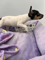 processed/16dbfd18-c7ab-4292-a994-64ff92b9ab60/listing/d40d1349-7e09-4c95-b18d-daaacf7c6b13/0a98ceb5-476f-4acf-bca1-b8307be36518