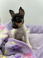 processed/16dbfd18-c7ab-4292-a994-64ff92b9ab60/listing/d40d1349-7e09-4c95-b18d-daaacf7c6b13/24d079e5-2c8d-419d-a22e-3faf3227b537