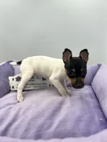 processed/16dbfd18-c7ab-4292-a994-64ff92b9ab60/listing/d40d1349-7e09-4c95-b18d-daaacf7c6b13/3d7272b8-38dc-45b6-88a3-08b39b990673