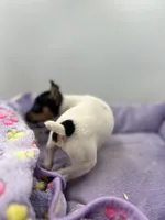 processed/16dbfd18-c7ab-4292-a994-64ff92b9ab60/listing/d40d1349-7e09-4c95-b18d-daaacf7c6b13/d7c3e2ca-67cb-417b-b912-0a84b767f76a