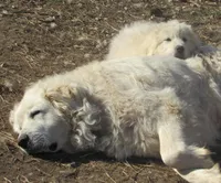 processed/16dfa4eb-f9db-4306-916f-96235eb8885a/facility/72d92cee-5064-47b4-be75-7a48a37eab77