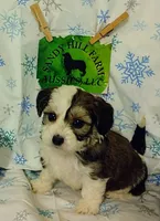 processed/16e13105-63f2-4f1e-a1df-7a4feca7f0de/listing/2596af58-f101-4e07-92c1-25603c1bd65a/28e08b2e-758c-429d-a9b2-3a1999229e19