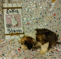 processed/16e13105-63f2-4f1e-a1df-7a4feca7f0de/listing/2596af58-f101-4e07-92c1-25603c1bd65a/2cfd3371-2a28-4763-99ad-7002cf5cd4eb