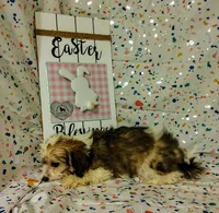 processed/16e13105-63f2-4f1e-a1df-7a4feca7f0de/listing/2596af58-f101-4e07-92c1-25603c1bd65a/334a7585-39c7-4923-9e44-4c6735be8b87