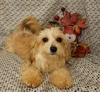 processed/16e13105-63f2-4f1e-a1df-7a4feca7f0de/listing/2596af58-f101-4e07-92c1-25603c1bd65a/46d9dfb0-d68d-4980-a7cb-cc1e357ba15c