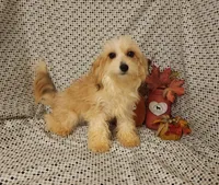 processed/16e13105-63f2-4f1e-a1df-7a4feca7f0de/listing/2596af58-f101-4e07-92c1-25603c1bd65a/bdcb6341-62e0-4c67-882b-3ff68ae9190f