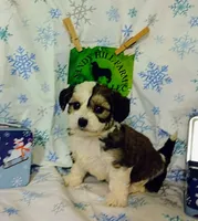 processed/16e13105-63f2-4f1e-a1df-7a4feca7f0de/listing/2596af58-f101-4e07-92c1-25603c1bd65a/d6779586-57a5-4cf9-ba31-d946b373a4bb