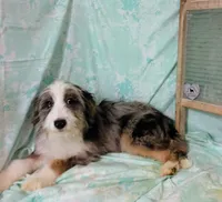 processed/16e13105-63f2-4f1e-a1df-7a4feca7f0de/listing/65c3d876-7fe9-4a86-95cc-f68480b3a136/02d0a26f-13d9-4ba7-a55a-566a91d2e2da