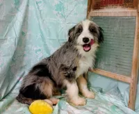 processed/16e13105-63f2-4f1e-a1df-7a4feca7f0de/listing/65c3d876-7fe9-4a86-95cc-f68480b3a136/20ab7a2b-970d-468c-a53c-c7e135ada2c5