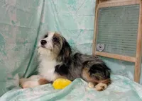 processed/16e13105-63f2-4f1e-a1df-7a4feca7f0de/listing/65c3d876-7fe9-4a86-95cc-f68480b3a136/21a092a4-f5af-4a6b-a82c-aa6f1afe48fa