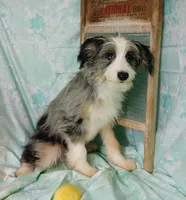 processed/16e13105-63f2-4f1e-a1df-7a4feca7f0de/listing/65c3d876-7fe9-4a86-95cc-f68480b3a136/2586628c-2101-442c-961b-7c329789c870