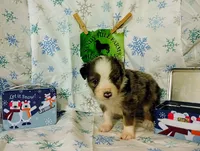 processed/16e13105-63f2-4f1e-a1df-7a4feca7f0de/listing/65c3d876-7fe9-4a86-95cc-f68480b3a136/3d8ef89e-1eaa-4e80-a277-77abeed5360d