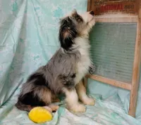 processed/16e13105-63f2-4f1e-a1df-7a4feca7f0de/listing/65c3d876-7fe9-4a86-95cc-f68480b3a136/79e23ca3-c57f-4533-bab1-edd656494190