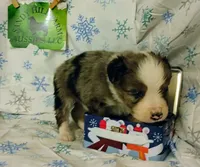 processed/16e13105-63f2-4f1e-a1df-7a4feca7f0de/listing/65c3d876-7fe9-4a86-95cc-f68480b3a136/8db0a52e-95a9-4e40-bb32-72e277f251b0