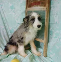 processed/16e13105-63f2-4f1e-a1df-7a4feca7f0de/listing/65c3d876-7fe9-4a86-95cc-f68480b3a136/a5951895-d5bd-459f-9c94-bea9e2f7b2b2