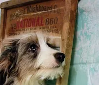 processed/16e13105-63f2-4f1e-a1df-7a4feca7f0de/listing/65c3d876-7fe9-4a86-95cc-f68480b3a136/cc3fae25-e1d4-41fa-927c-92f1b0eaf697