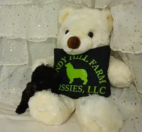 processed/16e13105-63f2-4f1e-a1df-7a4feca7f0de/listing/961ec889-f9ef-40d2-9ac7-143838ee9bd3/14ff3fc5-886c-4d27-838e-3f14275e004e