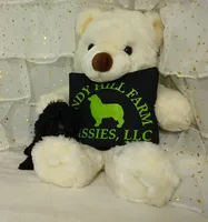 processed/16e13105-63f2-4f1e-a1df-7a4feca7f0de/listing/961ec889-f9ef-40d2-9ac7-143838ee9bd3/46dd31bb-2a50-439f-bd8f-b50232fc5704