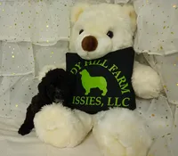 processed/16e13105-63f2-4f1e-a1df-7a4feca7f0de/listing/961ec889-f9ef-40d2-9ac7-143838ee9bd3/83e431c1-77d8-41a8-97d3-5d2509b5fe83