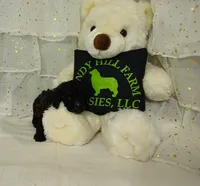 processed/16e13105-63f2-4f1e-a1df-7a4feca7f0de/listing/961ec889-f9ef-40d2-9ac7-143838ee9bd3/886d1f31-8a50-4994-a34f-4694de0e68d7