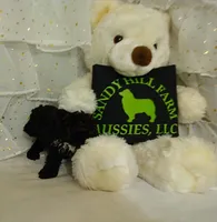 processed/16e13105-63f2-4f1e-a1df-7a4feca7f0de/listing/961ec889-f9ef-40d2-9ac7-143838ee9bd3/9d235bf7-0608-4786-9aa5-776e72c8e248