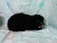 processed/16e13105-63f2-4f1e-a1df-7a4feca7f0de/listing/961ec889-f9ef-40d2-9ac7-143838ee9bd3/9de5f8fc-6958-4c13-a197-6c4d4b98d607