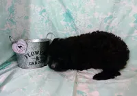 processed/16e13105-63f2-4f1e-a1df-7a4feca7f0de/listing/961ec889-f9ef-40d2-9ac7-143838ee9bd3/acd93f4f-8002-4e49-888f-dc936b2519d4