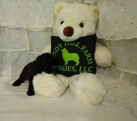 processed/16e13105-63f2-4f1e-a1df-7a4feca7f0de/listing/961ec889-f9ef-40d2-9ac7-143838ee9bd3/ed5ceb47-0a15-47c3-a470-2a1dad45cbb1