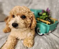 processed/16e13105-63f2-4f1e-a1df-7a4feca7f0de/listing/dffa20e2-6b13-40f5-8445-33e6f4e351c6/3b01d31a-40a3-4da1-bc9f-8fee954be016