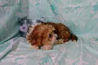 processed/16e13105-63f2-4f1e-a1df-7a4feca7f0de/listing/dffa20e2-6b13-40f5-8445-33e6f4e351c6/3e36ff6d-5e38-432e-a7f5-270a13763c1b