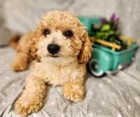 processed/16e13105-63f2-4f1e-a1df-7a4feca7f0de/listing/dffa20e2-6b13-40f5-8445-33e6f4e351c6/7d18aefb-fcc7-4880-a70f-6e5df045fcd1