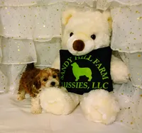 processed/16e13105-63f2-4f1e-a1df-7a4feca7f0de/listing/dffa20e2-6b13-40f5-8445-33e6f4e351c6/94e35de7-e788-482b-9a0e-d1e67a1cba07