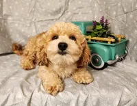 processed/16e13105-63f2-4f1e-a1df-7a4feca7f0de/listing/dffa20e2-6b13-40f5-8445-33e6f4e351c6/bd7f51d4-9a91-4116-a238-5fc65f6336f5