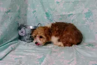 processed/16e13105-63f2-4f1e-a1df-7a4feca7f0de/listing/dffa20e2-6b13-40f5-8445-33e6f4e351c6/e1d4f606-638b-4c12-b4f7-e33735812e93