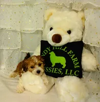 processed/16e13105-63f2-4f1e-a1df-7a4feca7f0de/listing/dffa20e2-6b13-40f5-8445-33e6f4e351c6/f60ed650-23dd-4e87-bd09-544fc34d8e59