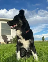 processed/16e18219-5911-4f3b-aa0d-1fc587923af7/listing/260e3a8c-1553-4c41-8273-76ed6b64f64e/47b639d2-a8c0-4339-91da-a6e8139eb9e3