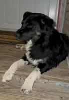 processed/16e18219-5911-4f3b-aa0d-1fc587923af7/listing/260e3a8c-1553-4c41-8273-76ed6b64f64e/92d86254-36f7-425f-8bf1-6c2427de22ec