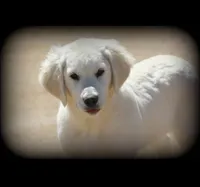 processed/16e18219-5911-4f3b-aa0d-1fc587923af7/listing/f0f50a12-422d-4d15-9f29-a3d37e5f34f7/2d3a52f4-14e4-4c7e-b01b-ffe609051a19