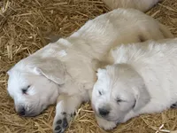 processed/16e18219-5911-4f3b-aa0d-1fc587923af7/listing/f0f50a12-422d-4d15-9f29-a3d37e5f34f7/ebe25554-da1a-4be2-9c0c-e9344901bf72