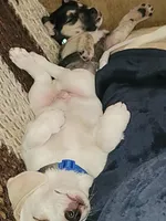 processed/16ea0a0a-496a-4051-84b4-eea23ff6020b/facility/0990a745-ec50-4b46-b434-7994727fff49